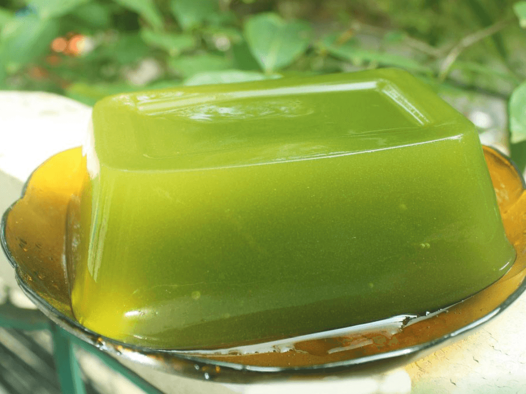 cach-de-suong-sam-dong-nhanh-va-min