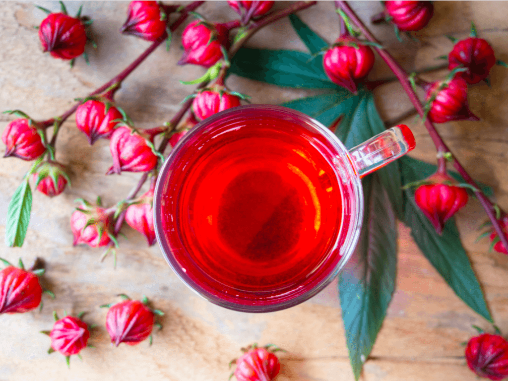 cach-pha-tra-hoa-atiso-do-co-ban-danh-cho-nguoi-moi-bat-dau