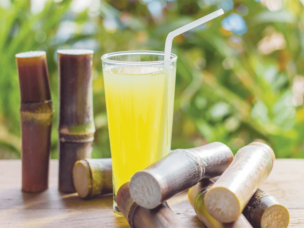 ep-nuoc-mia-bang-may-xay-nuoc-mia-mini