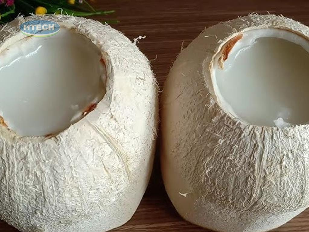 cach-lam-thach-dua-tai-nha-ngon