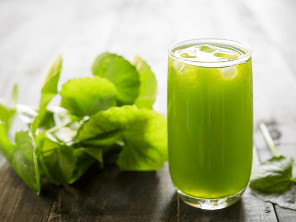 cach-lam-nuoc-ep-rau-ma-su-dung-may-ep-trai-cay