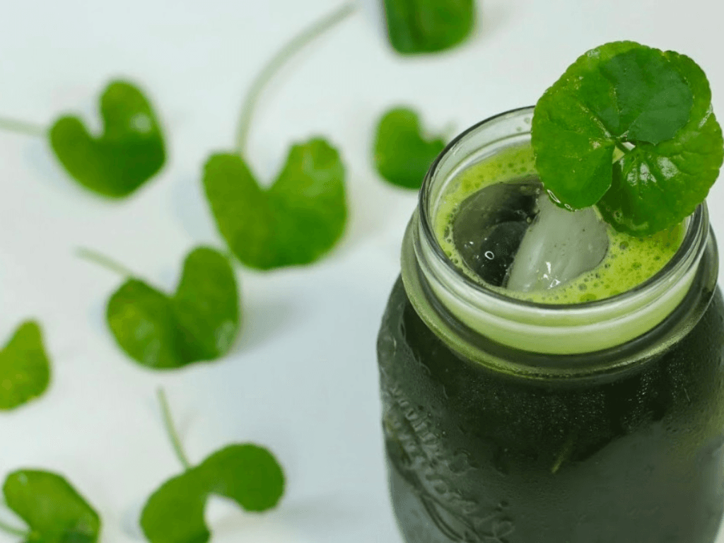 mot-so-luu-y-khi-su-dung-nuoc-ep-rau-ma