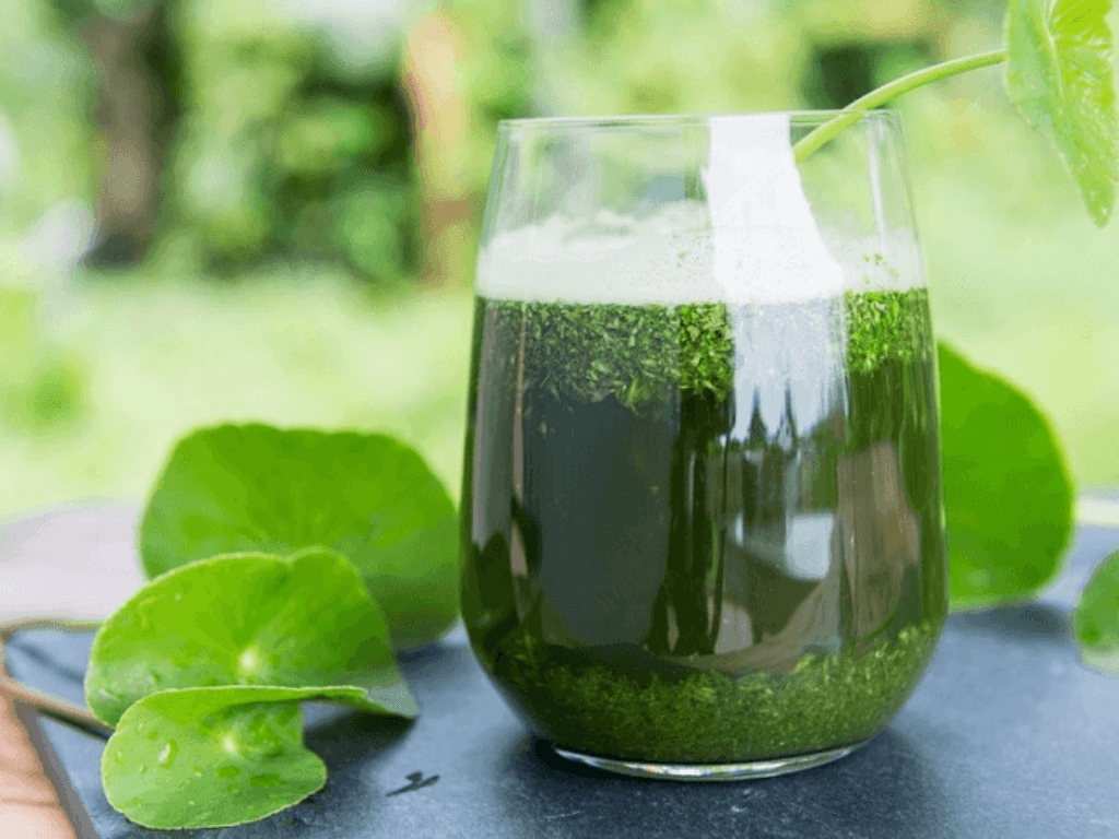 nem-nem-theo-khau-vi-tuy-chon-dieu-chinh-huong-vi-yeu-thich