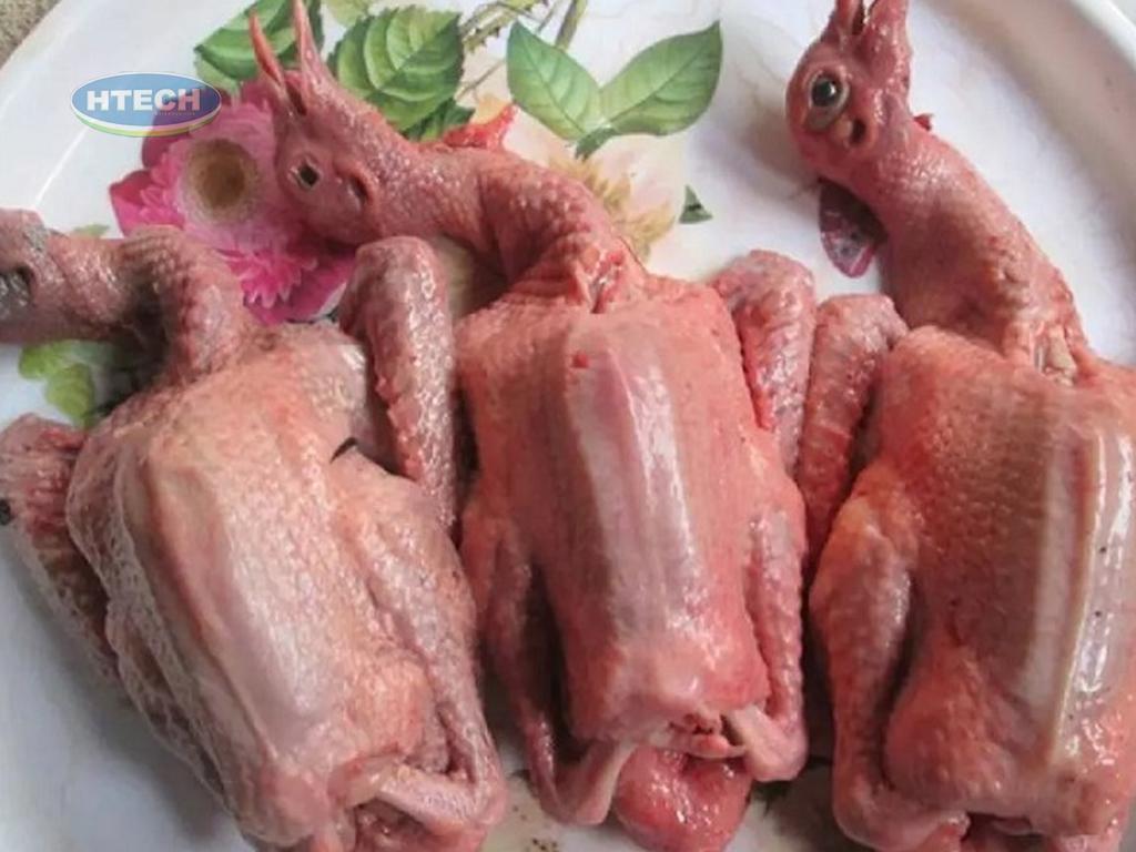cong-dung-cua-chim-bo-cau-doi-voi-ba-bau
