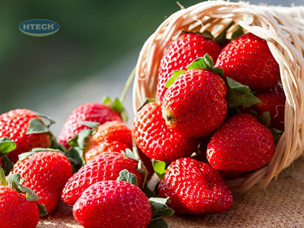 cach-lam-siro-dau-tay-tuoi-tai-nha