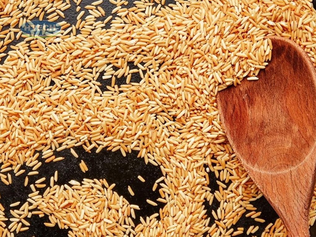 cach-nau-chao-ca-chep-cho-ba-bau-don-gian