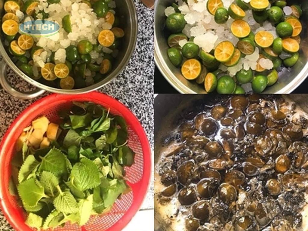 cach-nau-siro-hung-chanh-tri-ho