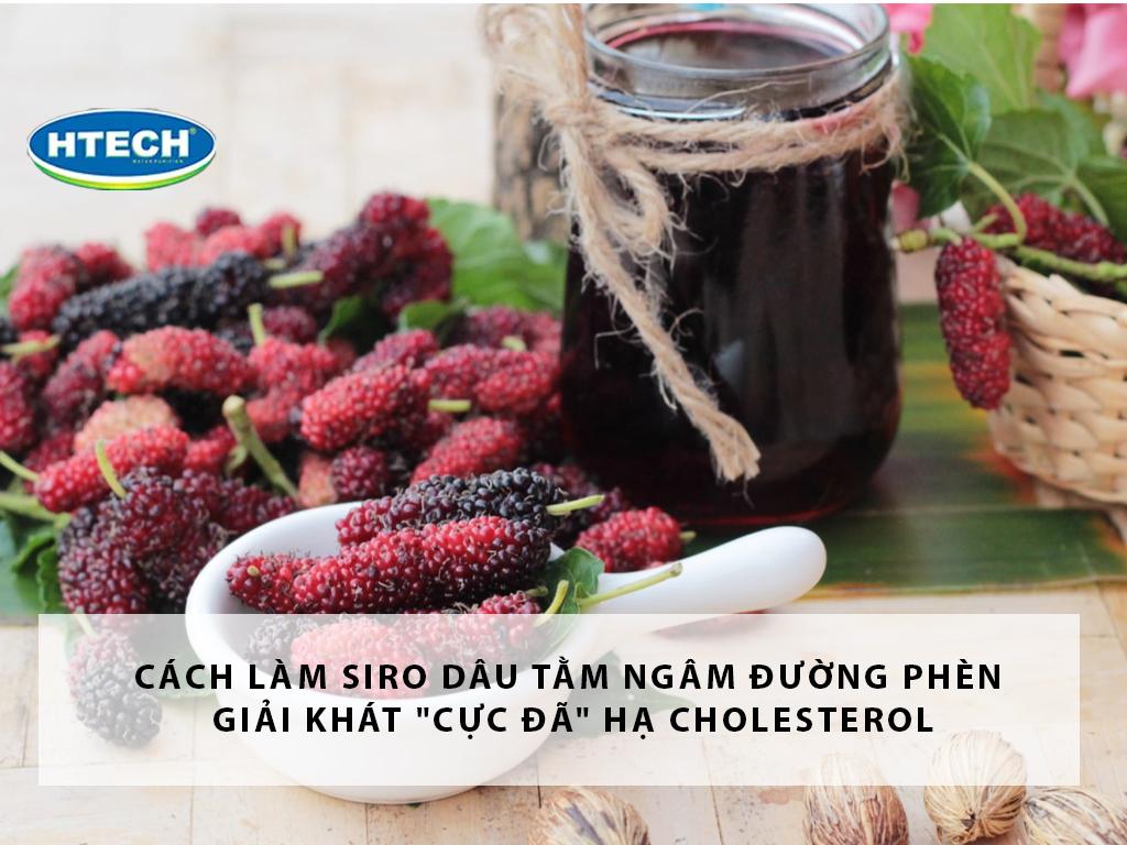Cách làm siro dâu tằm ngâm đường phèn giải khát "cực đã" hạ Cholesterol