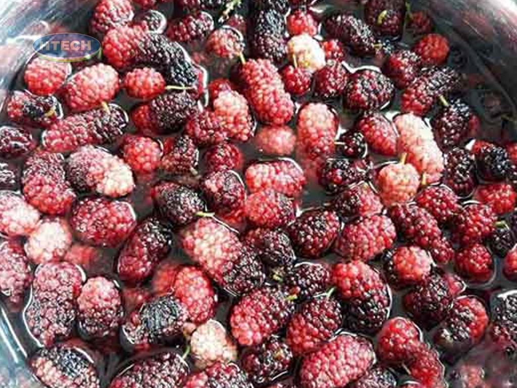 rua-sach-dau-tam-voi-nuoc-muoi