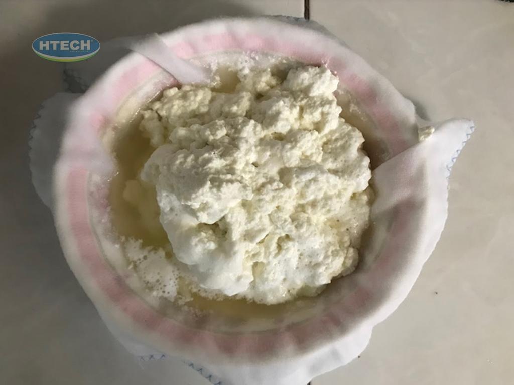 cach-lam-pho-mai-tu-sua-tuoi-tai-nha