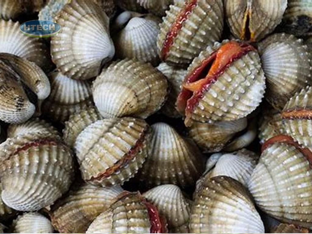 cach-chon-mua-so-huyet-tuoi-ngon