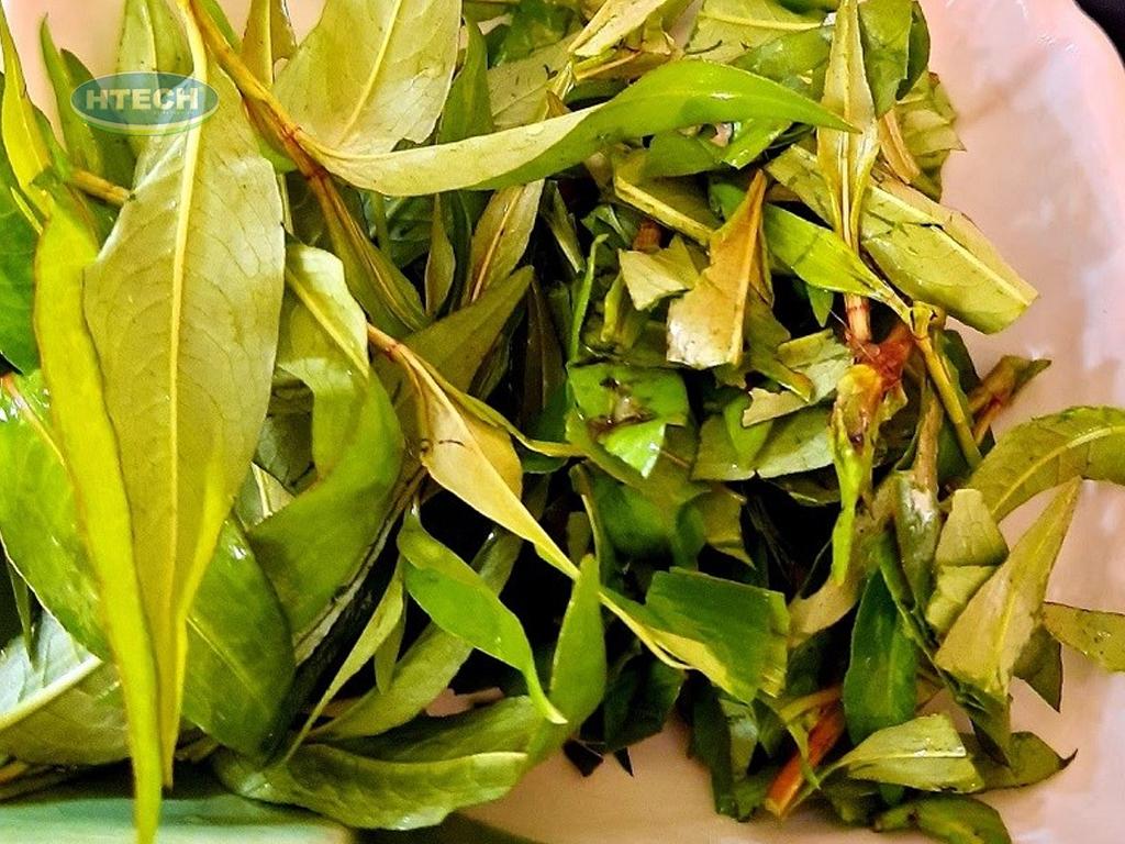 so-che-nguyen-lieu-lam-mon-hot-vit-lon-xao-me