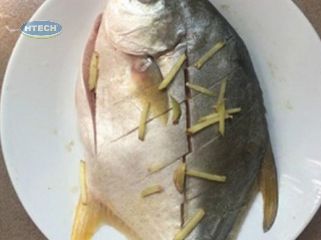 cach-uop-ca-chim-hap-hanh-gung