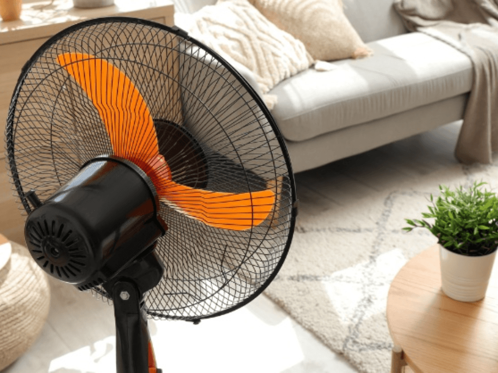 can-ban-va-bui-bam-vao-canh-quat