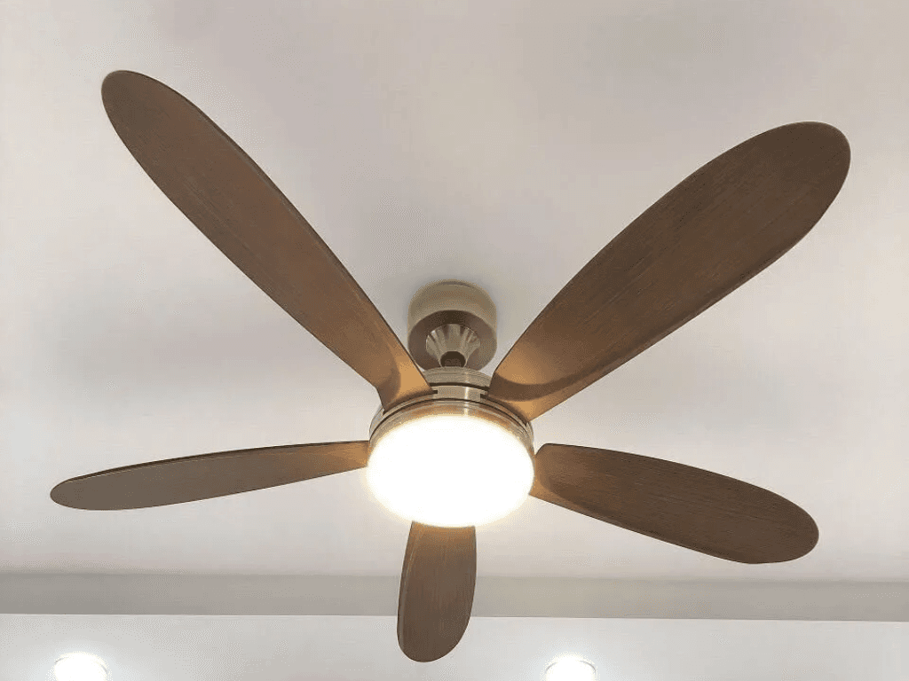 tong-quan-ve-motor-ac-va-motor-dc-trong-quat-tran