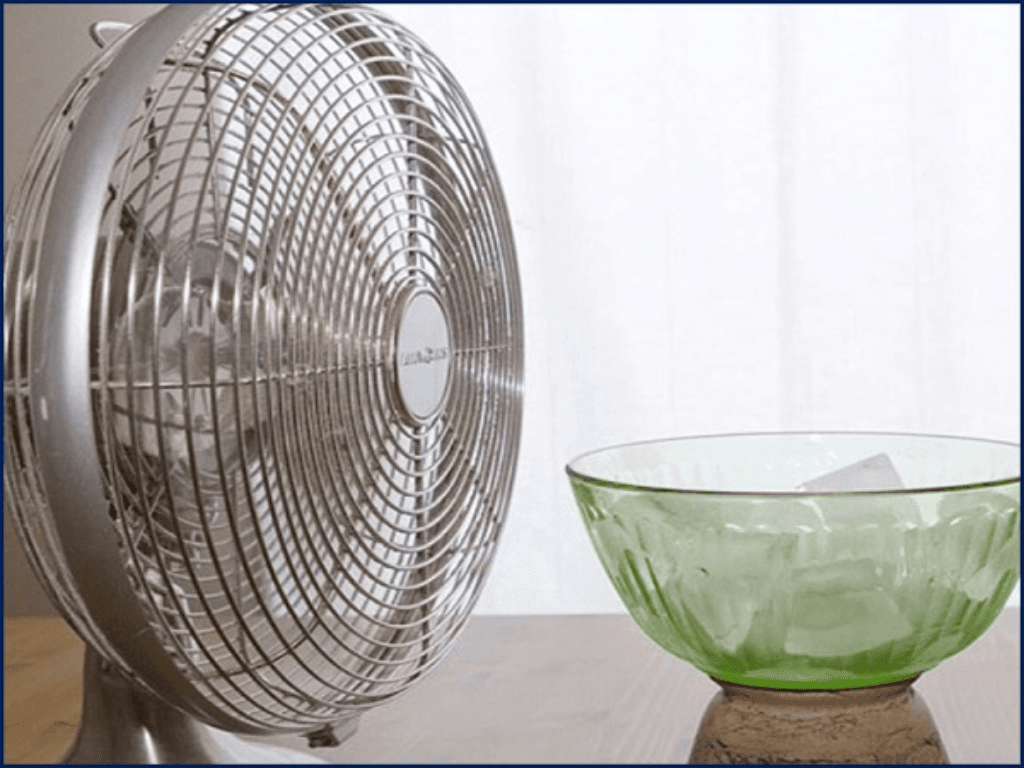 giai-phap-tu-nhien-giup-giam-nhiet-ma-khong-ton-dien