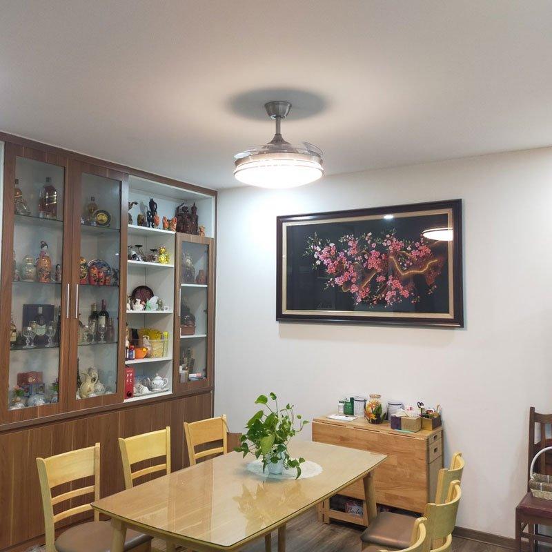 Quạt Trần Luxuryfan đèn hiệu LuxAire - Tulip HB424-BN-4