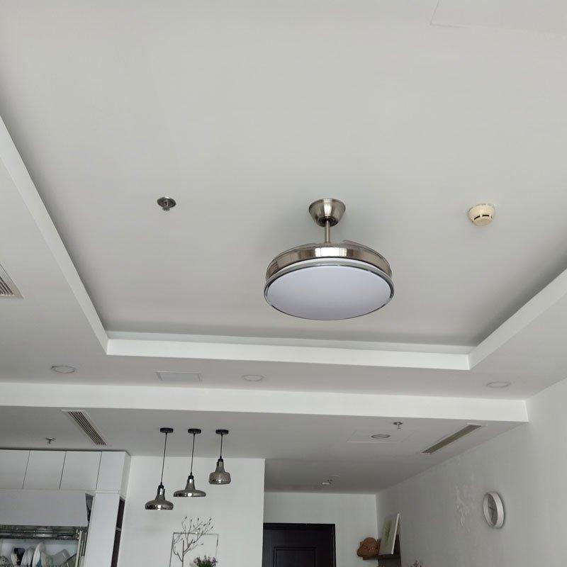 Quạt Trần Luxuryfan đèn hiệu LuxAire - Tulip HB424-BN-2