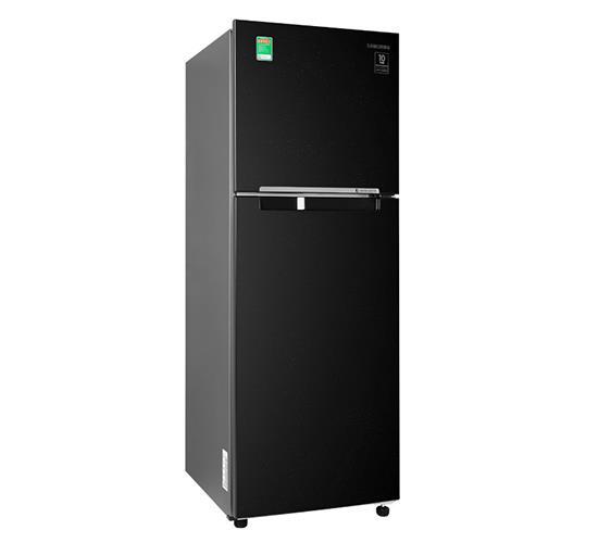 Tủ lạnh Samsung Inverter 256L RT25M4032BU/SV-4