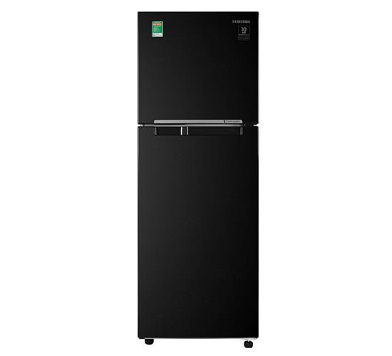 Tủ lạnh Samsung Inverter 256L RT25M4032BU/SV-0